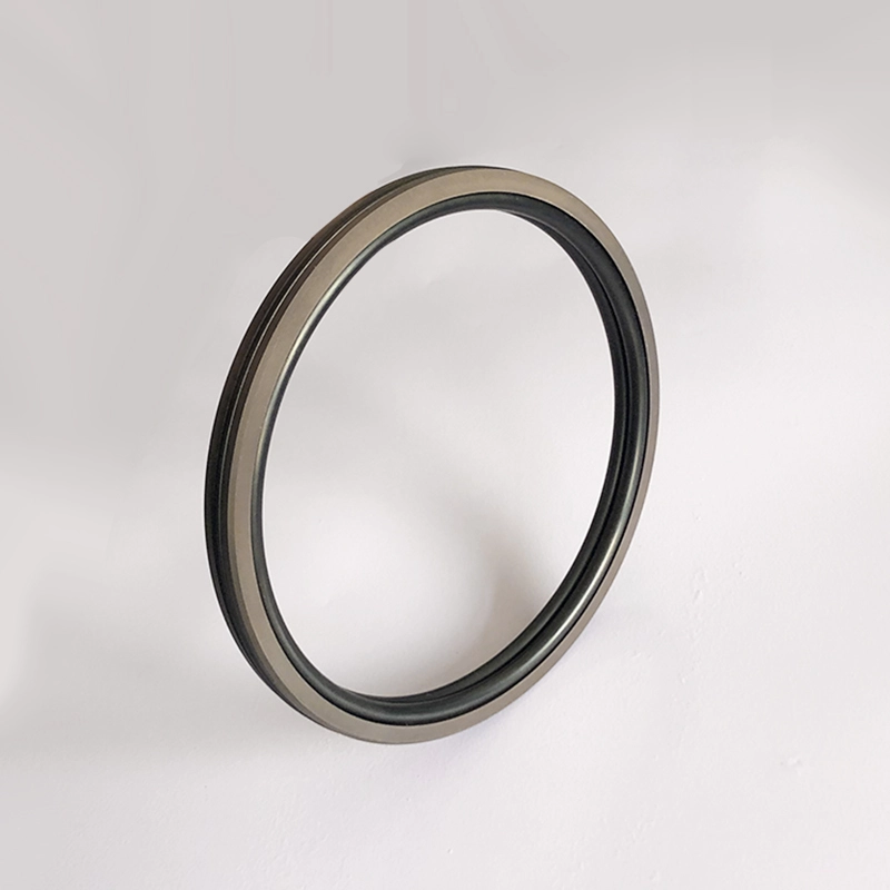 Hydraulic Seals For Piston Holes Hydraulic Seals For Piston Holes