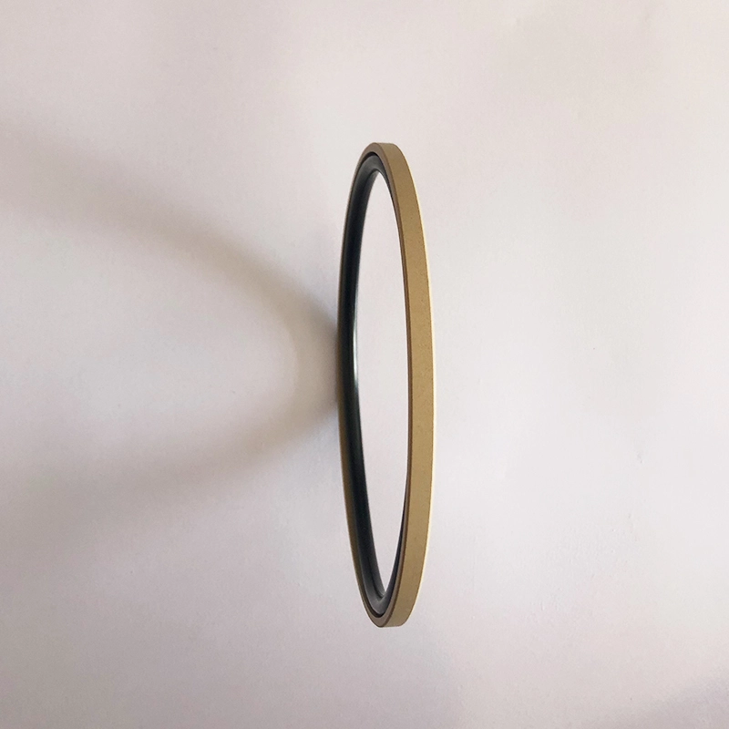 Hydraulic Seals For Piston Holes Hydraulic Seals For Piston Holes