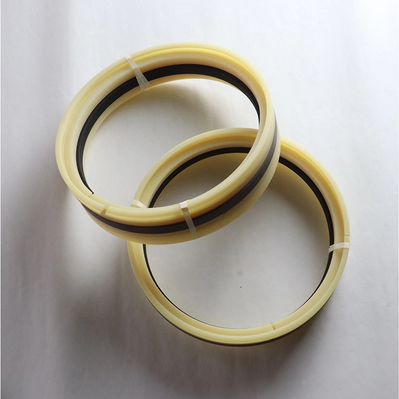 Hydraulic Seals For Piston Holes Hydraulic Seals For Piston Holes