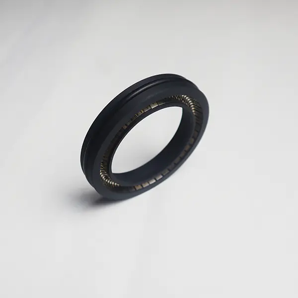 Rotary Spring Energized Seals